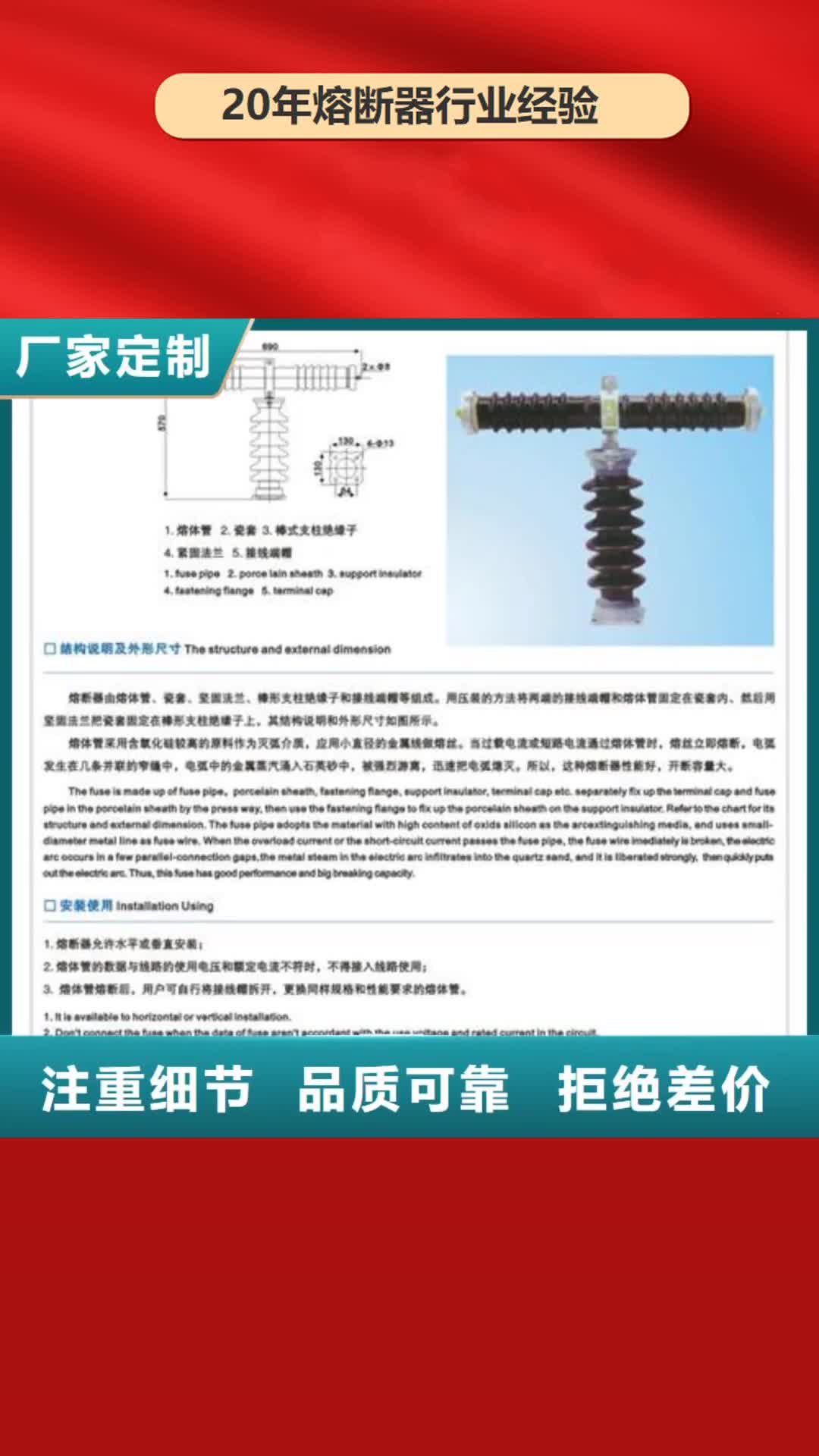 大理【熔断器】 高低压电器优质工艺