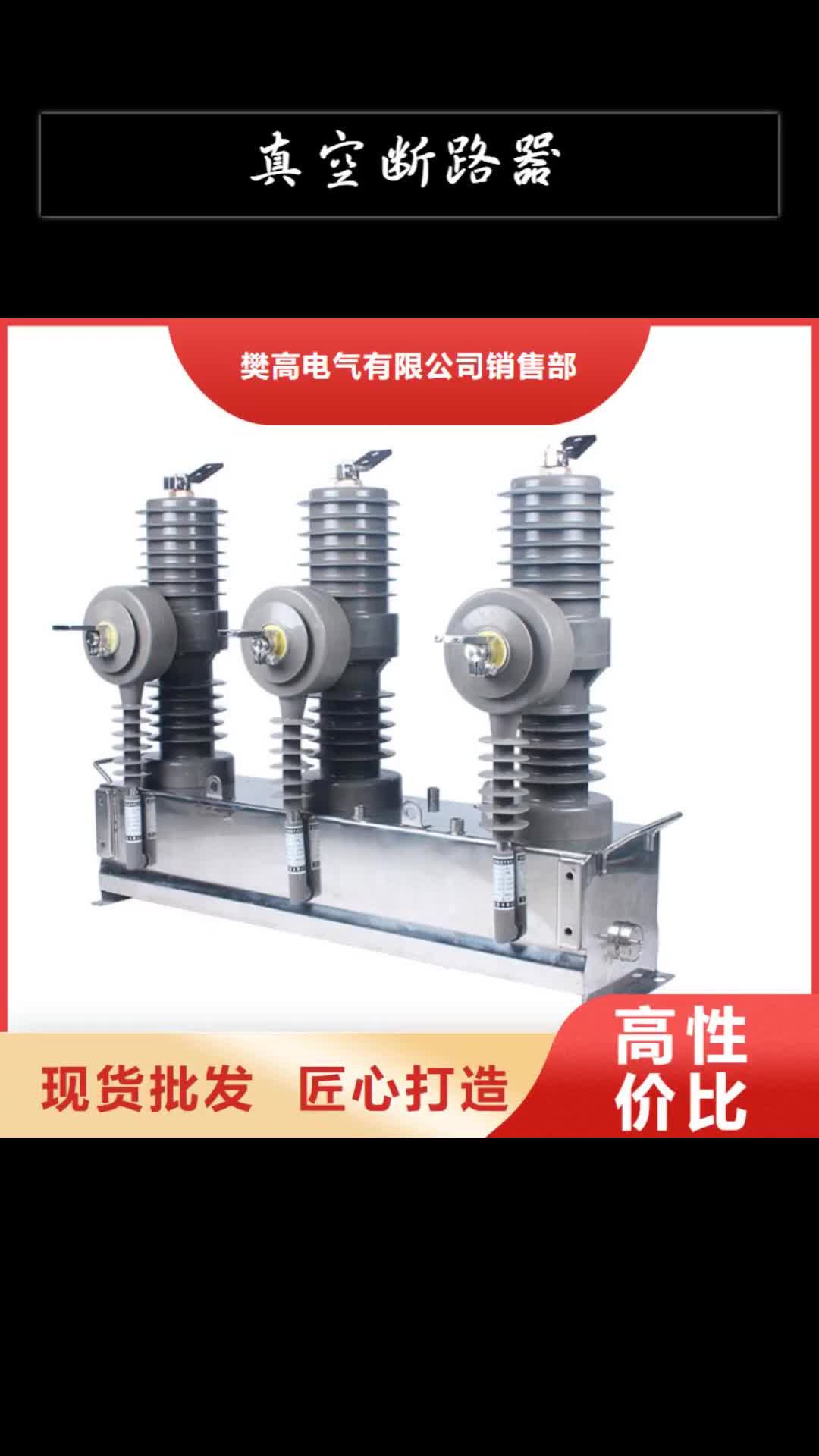 丽江真空断路器穿墙套管工期短发货快