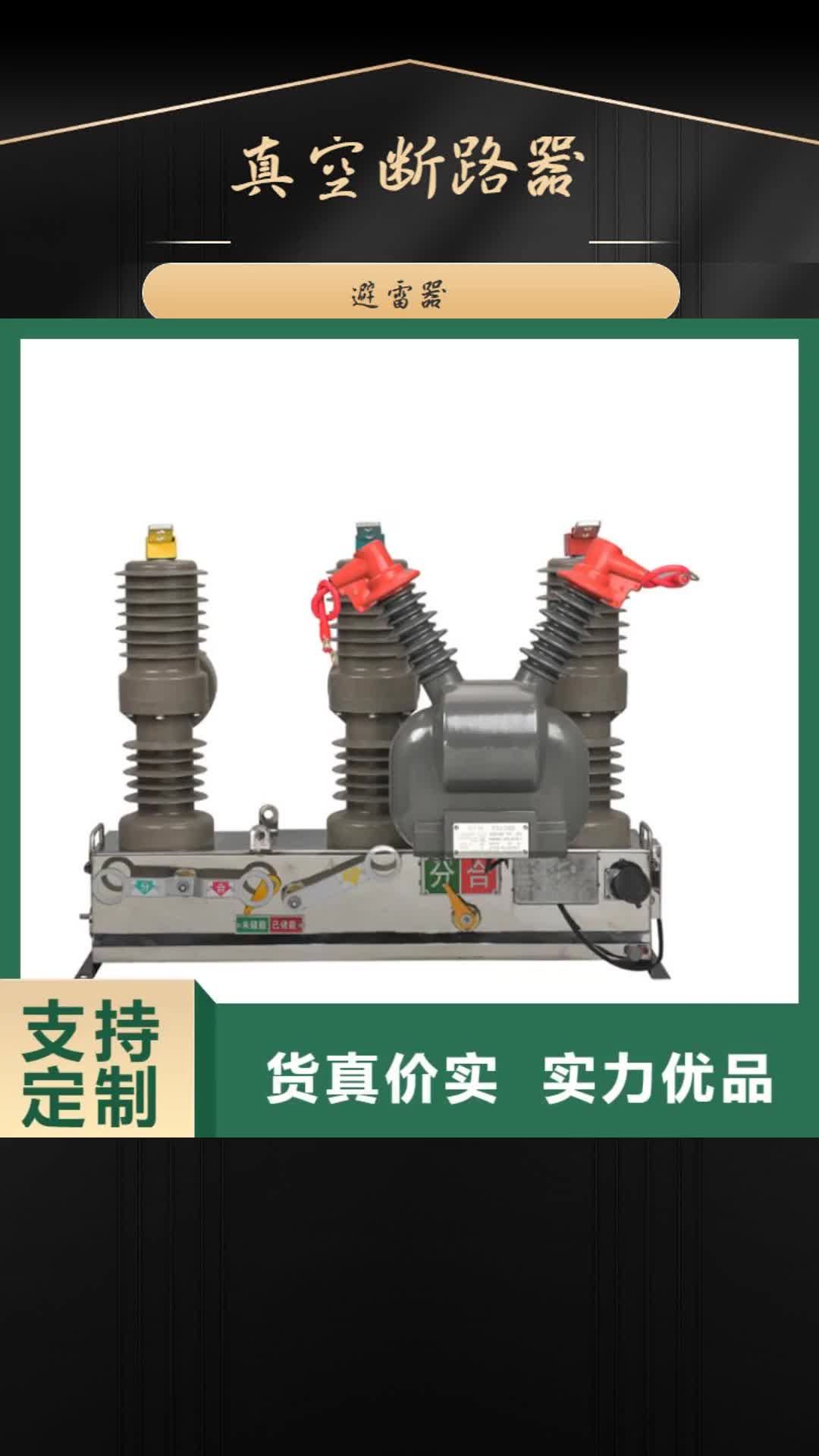 菏泽真空断路器氧化锌避雷器按需定制