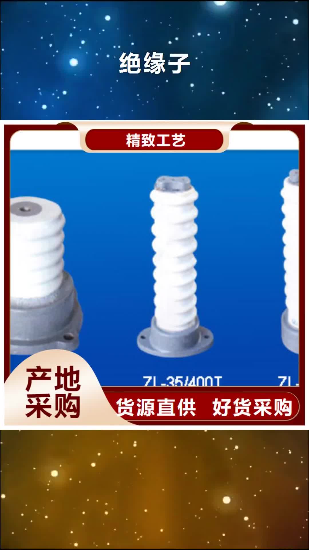 芜湖绝缘子穿墙套管专业生产制造厂