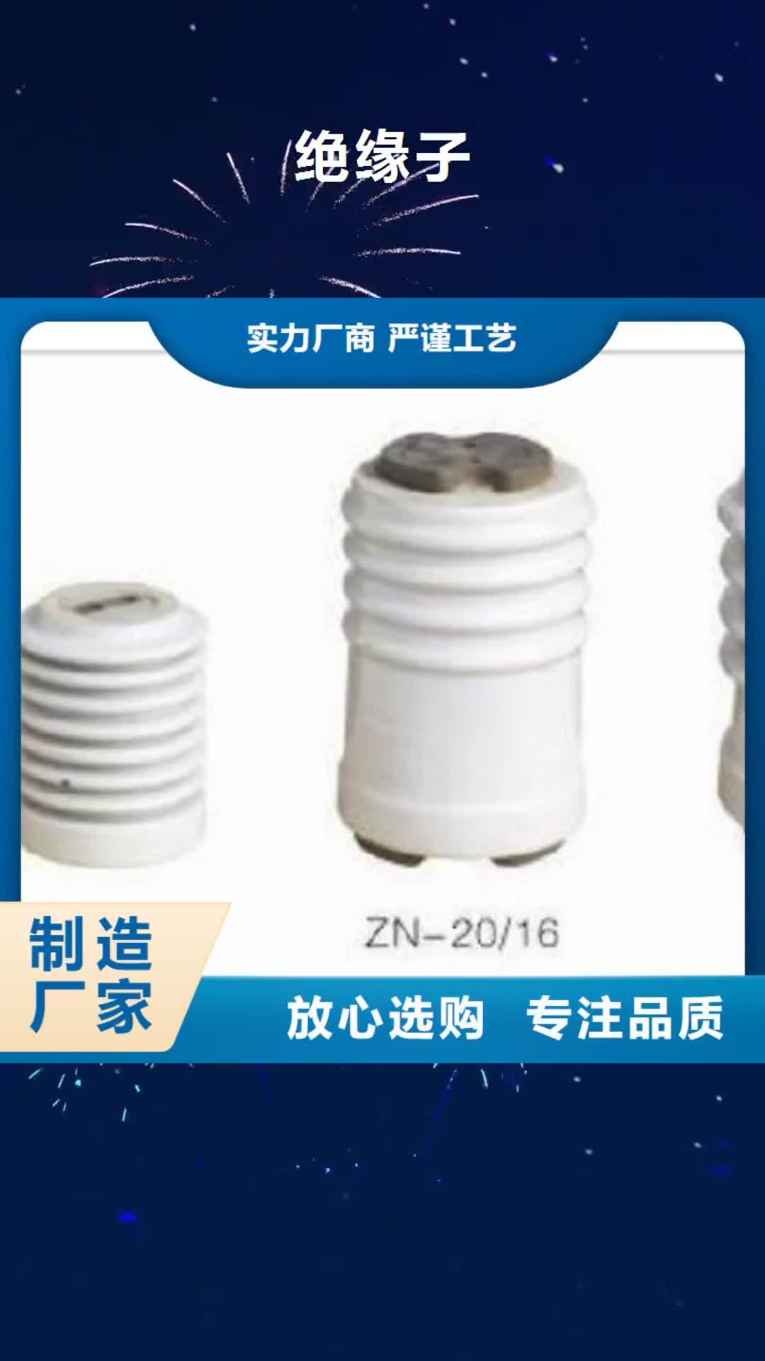 【莱芜绝缘子 穿墙套管款式新颖】