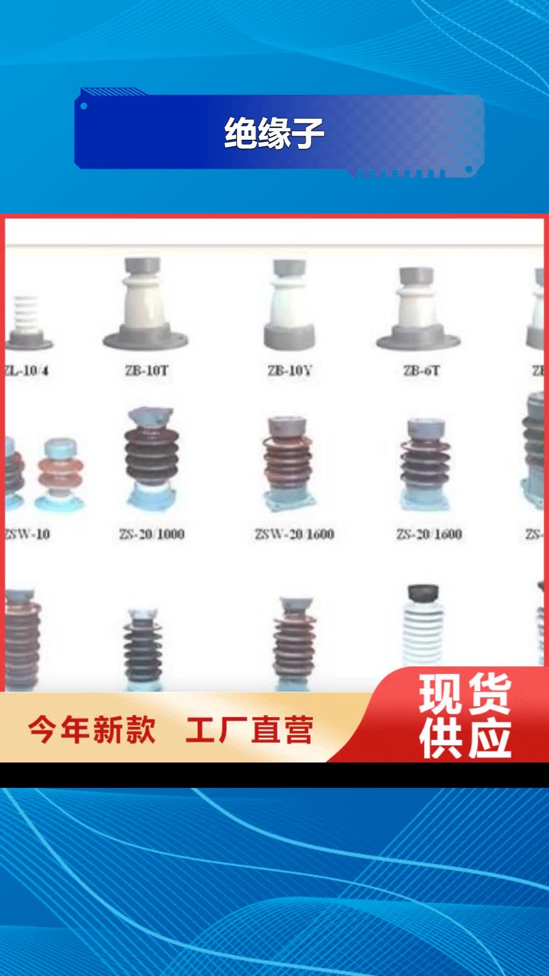 天水【绝缘子】_高低压电器质优价廉