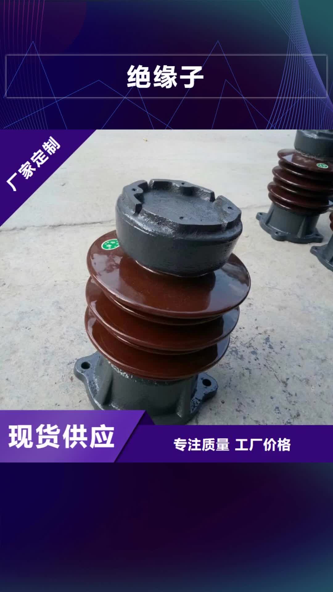 湛江 绝缘子【固定金具】厂家现货供应