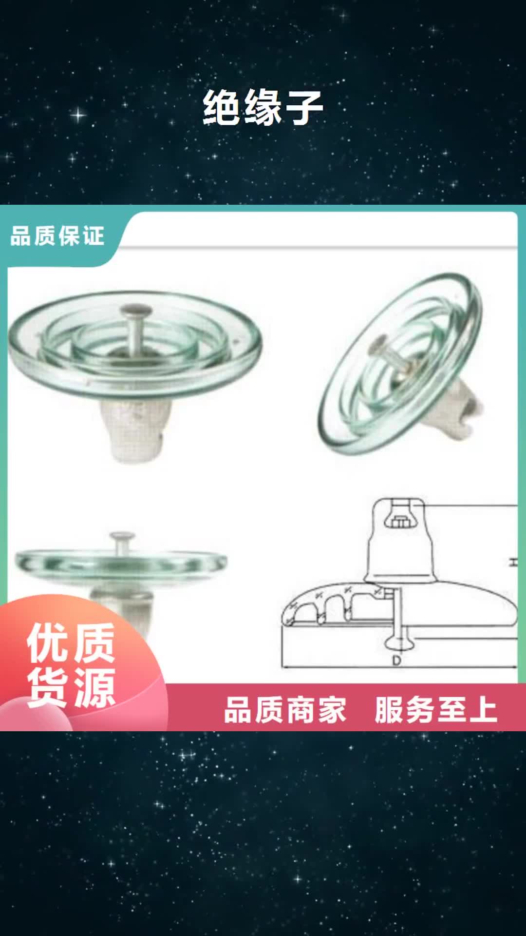 辽源 绝缘子一站式采购商家