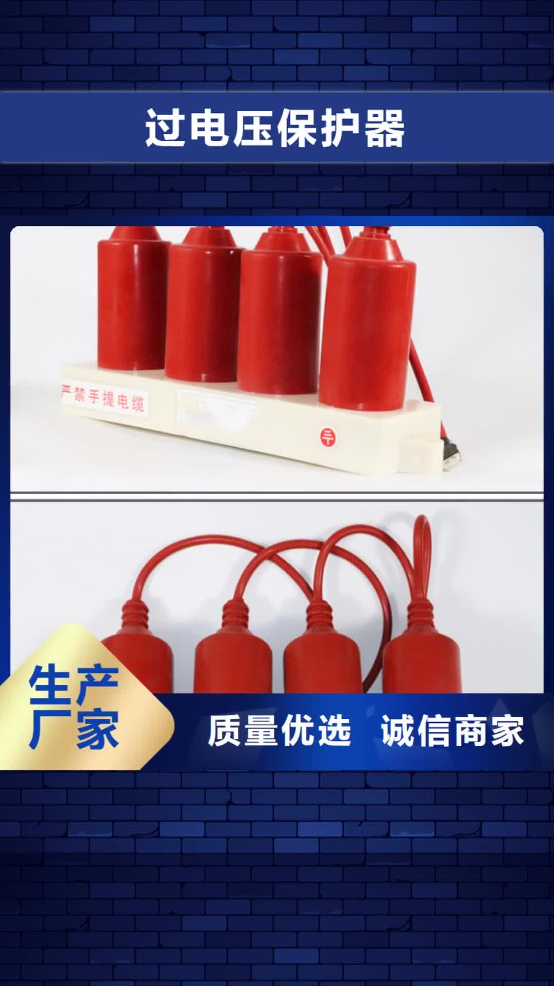 乐山过电压保护器固定金具工程施工案例