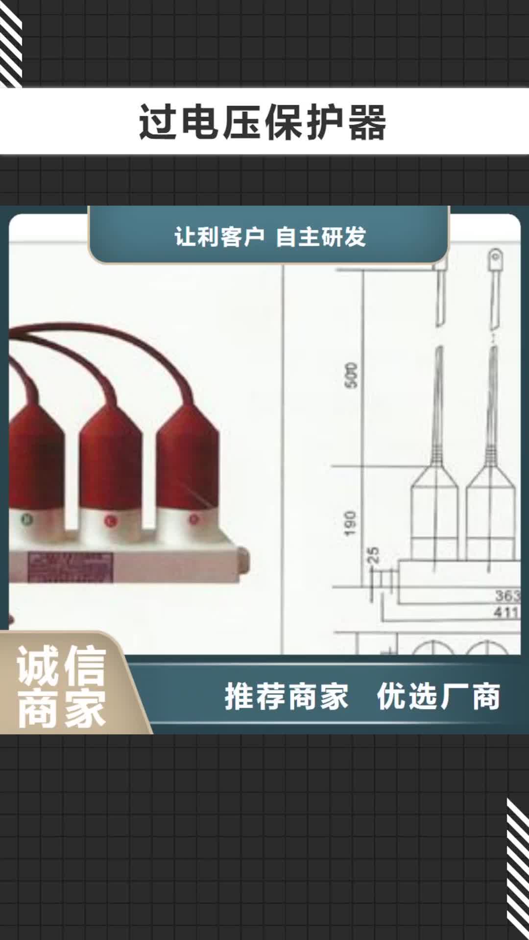 淄博过电压保护器_【固定金具】好品质经得住考验