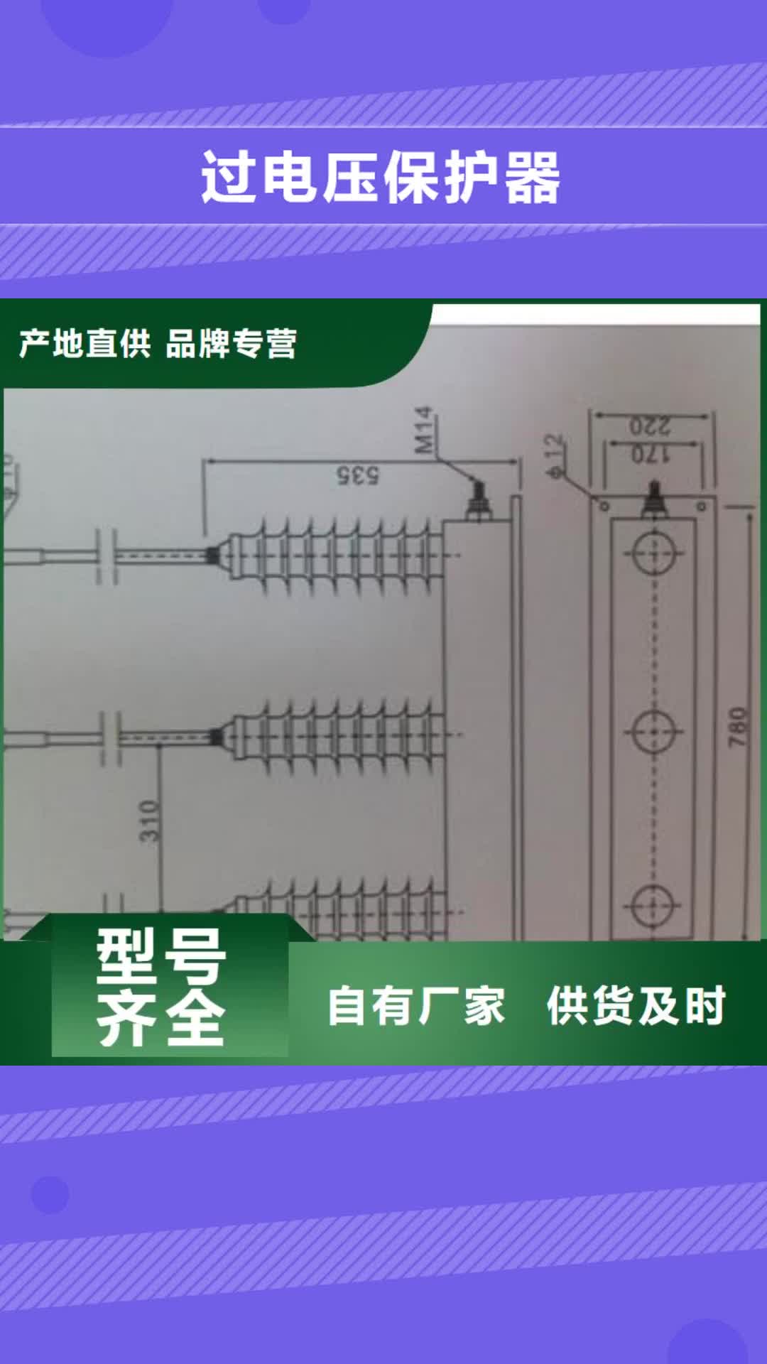 深圳过电压保护器-【绝缘子】可定制有保障