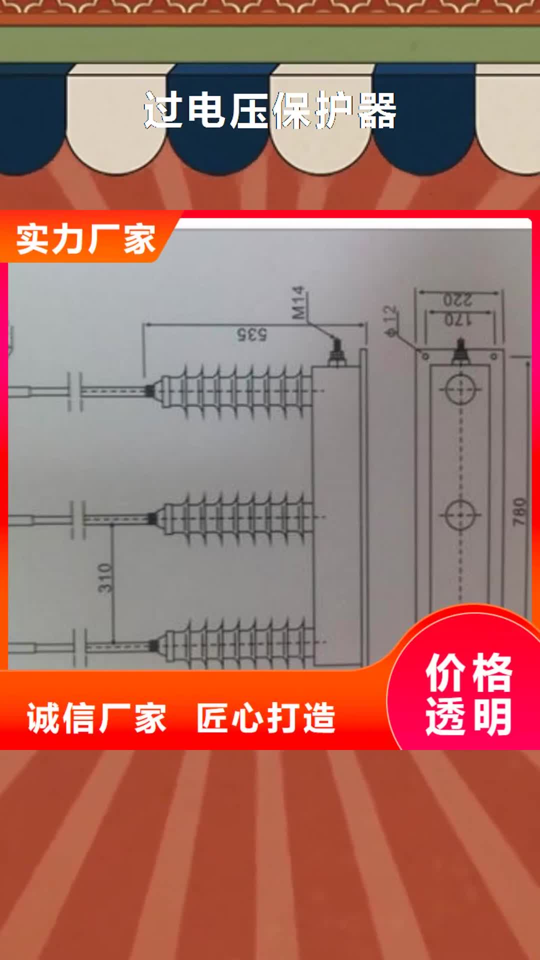 六盘水 过电压保护器【氧化锌避雷器】厂家货源