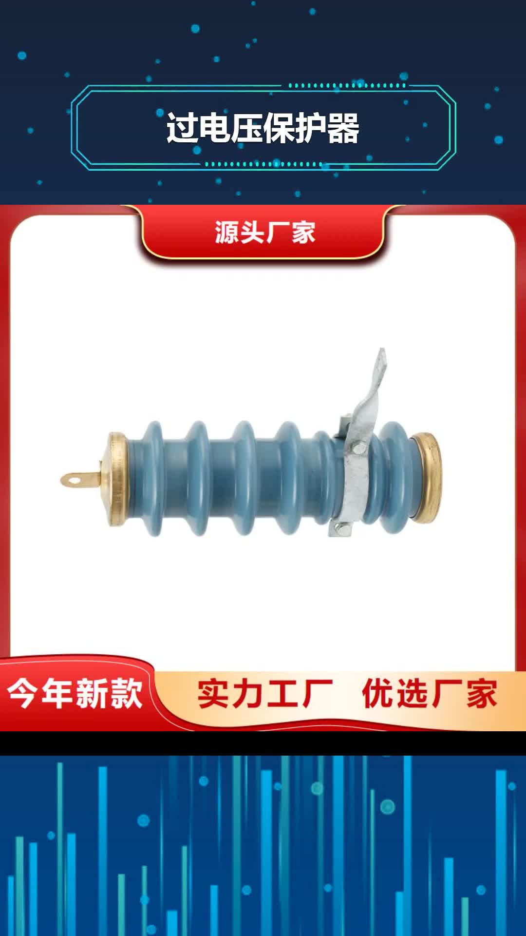 【合肥 过电压保护器电缆附件实体厂家支持定制】