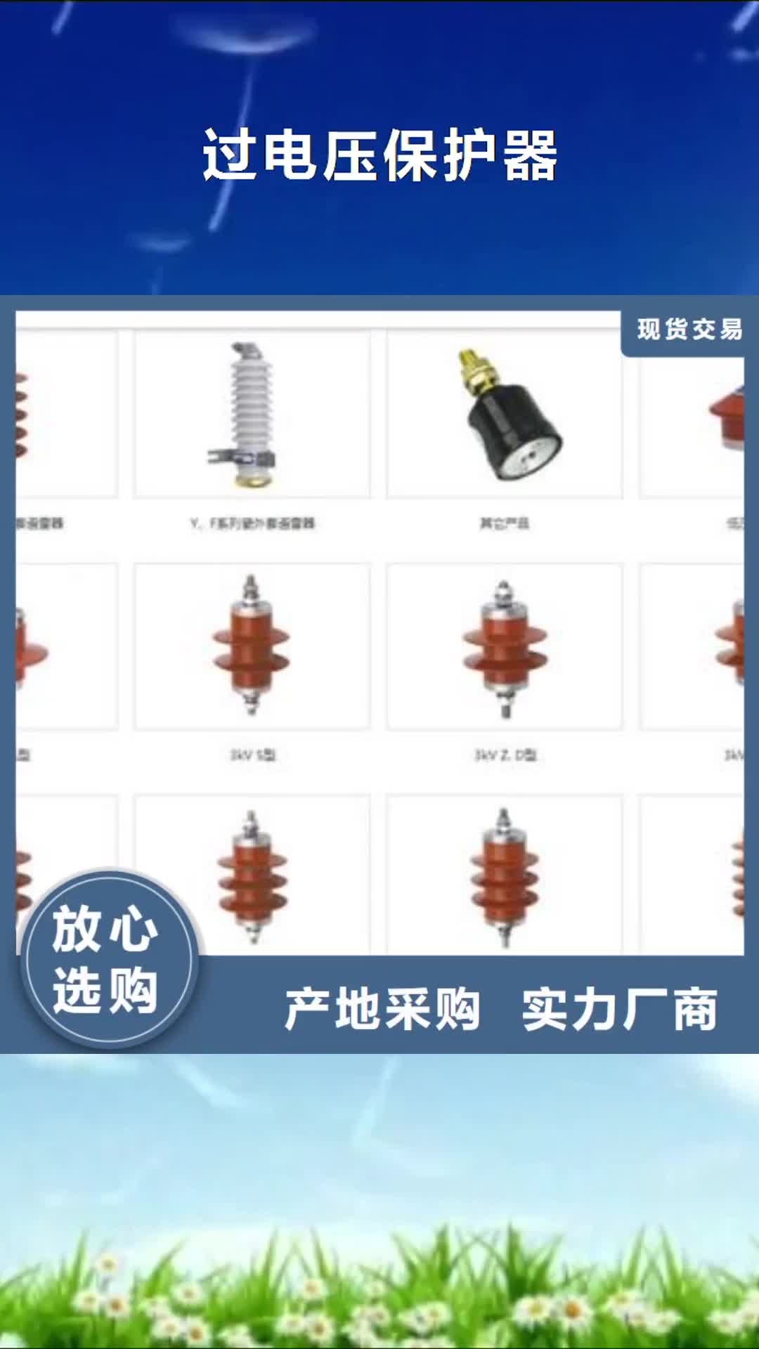 株洲【过电压保护器】真空断路器快速物流发货