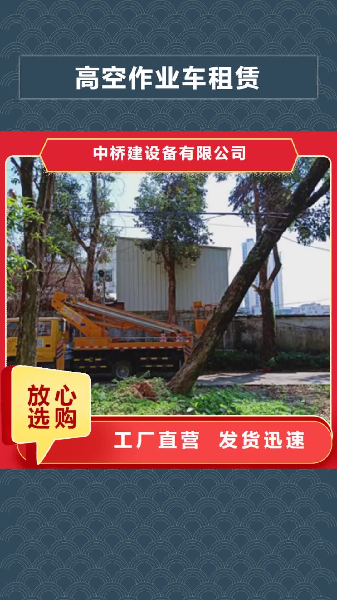 拉萨 高空作业车租赁有口皆碑