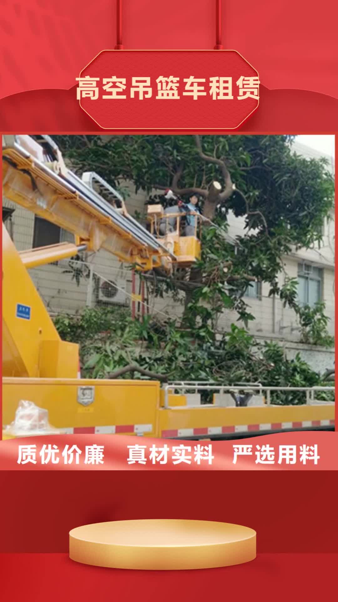 【淄博 高空吊篮车租赁厂家规格全】