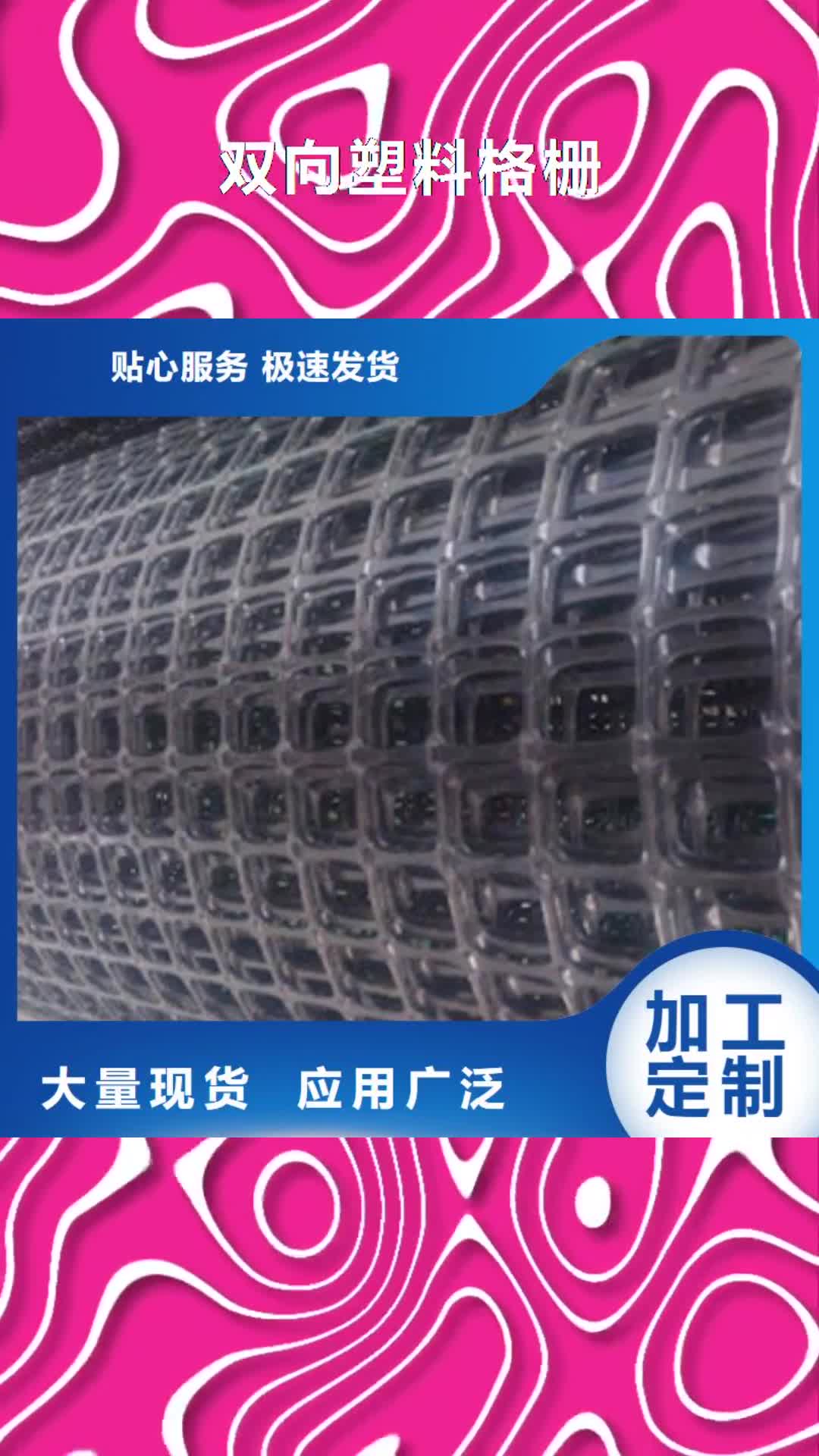抚顺【双向塑料格栅】 钢塑土工格栅规格齐全实力厂家
