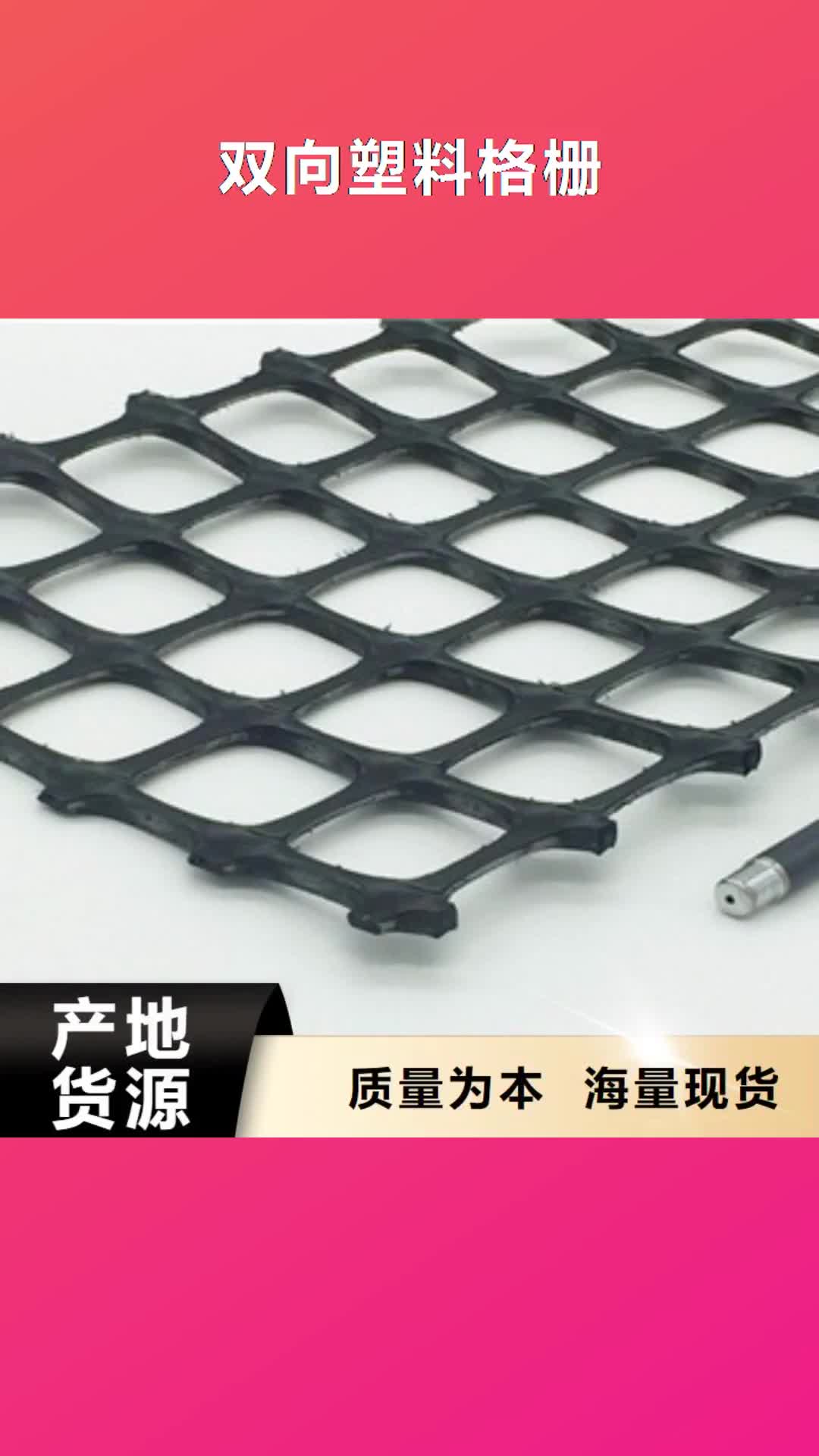 黔南【双向塑料格栅】,膨润土防水毯好产品好服务