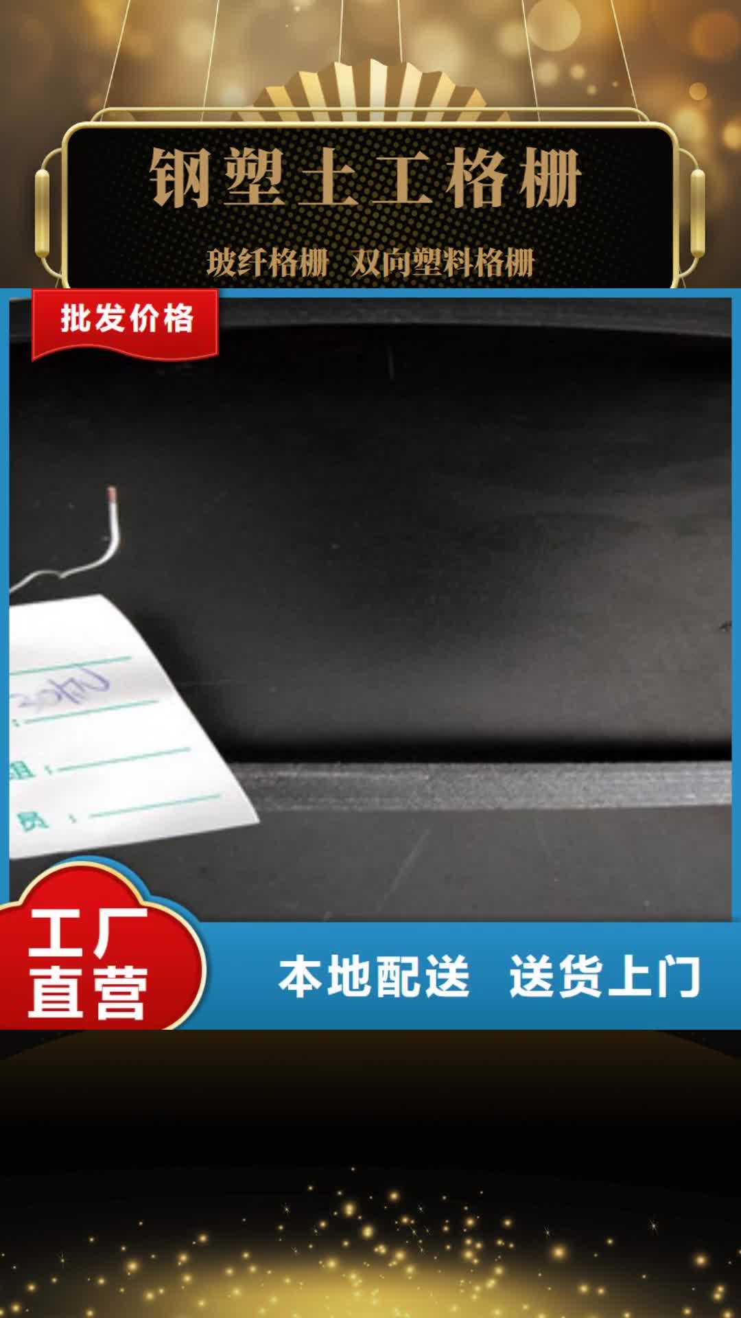【淮南 钢塑土工格栅,膨润土防水毯认准大品牌厂家】