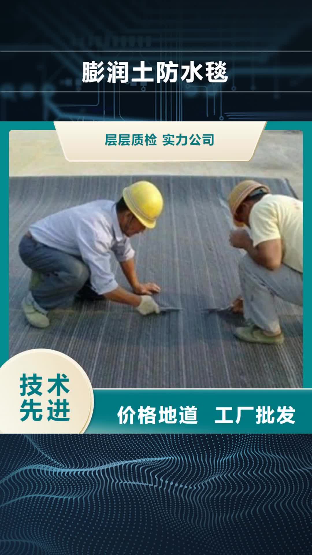 贵港【膨润土防水毯】_塑料土工格栅源头直供