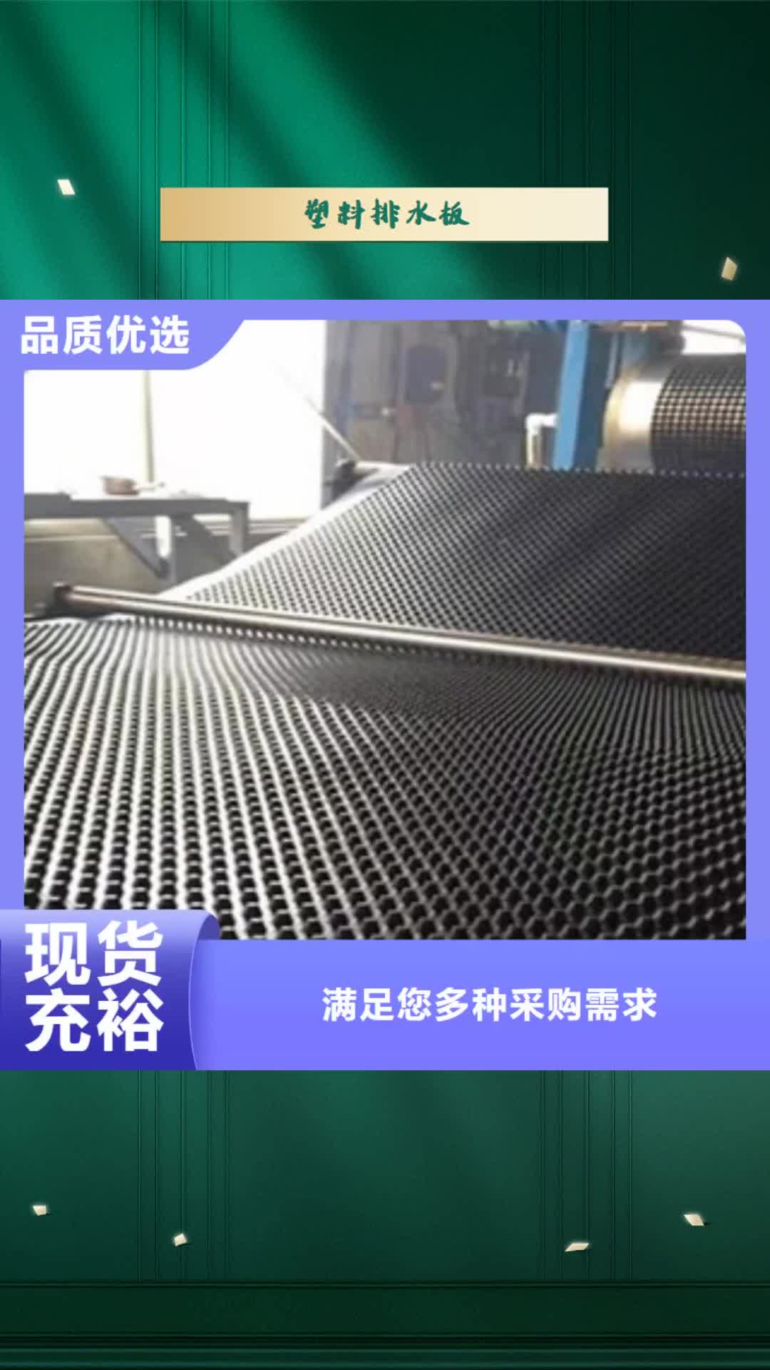 【杭州 塑料排水板 三维植被网严选用料】