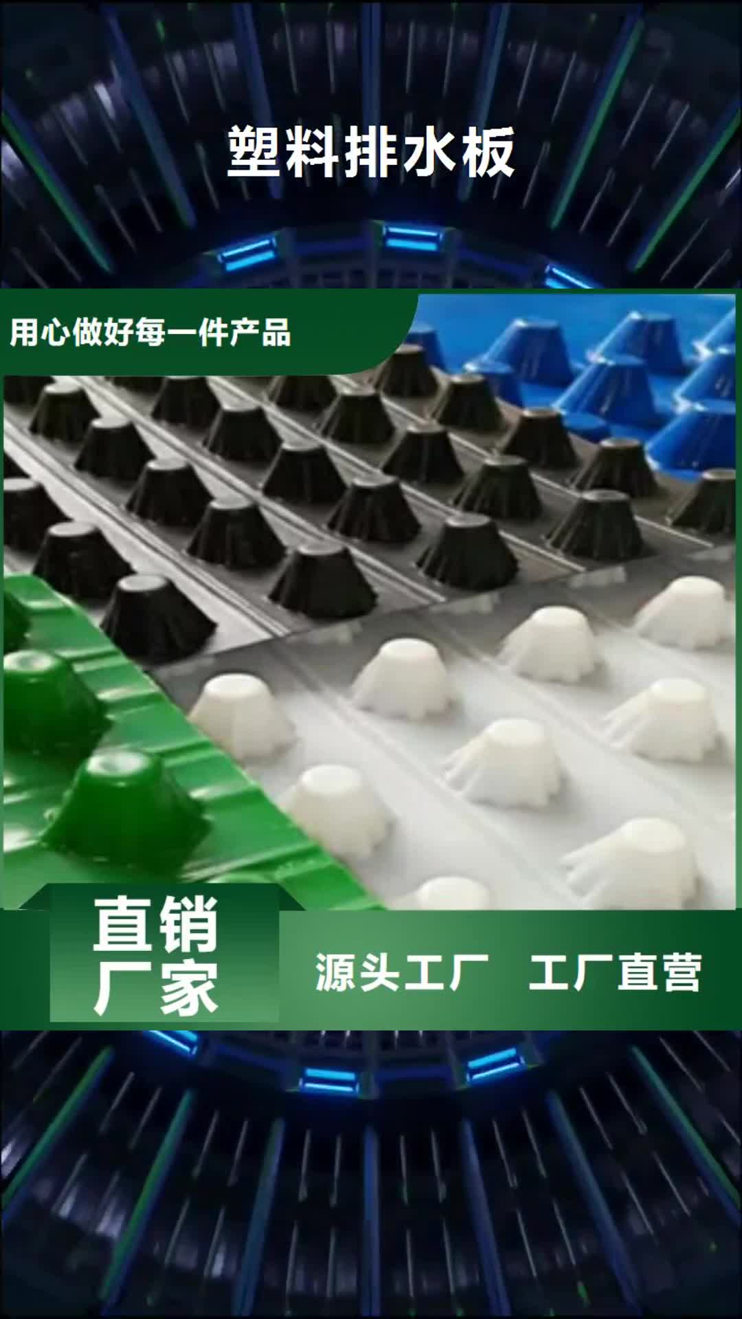 上海【塑料排水板】-膨润土防水毯厂家实力大