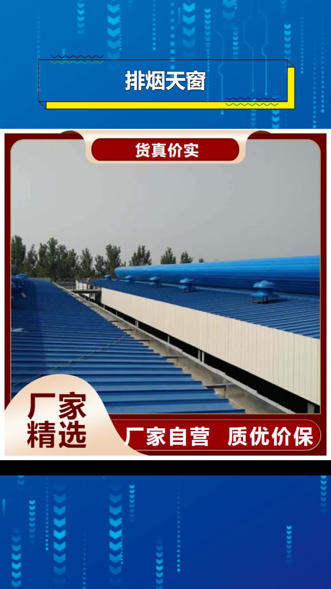 潮州 排烟天窗 【钢结构通风天窗】厂家直发
