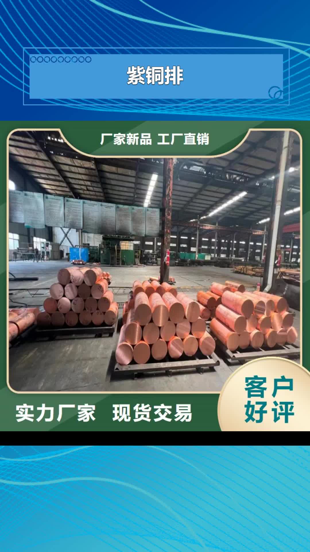 新疆 紫铜排-【黄铜带】符合标准