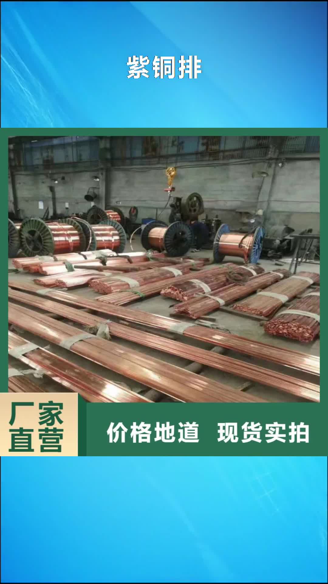 【六盘水 紫铜排 黄铜棒来图来样定制】