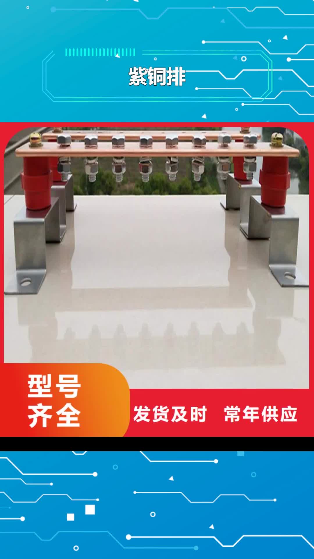 铜陵【紫铜排】_黄铜棒您身边的厂家