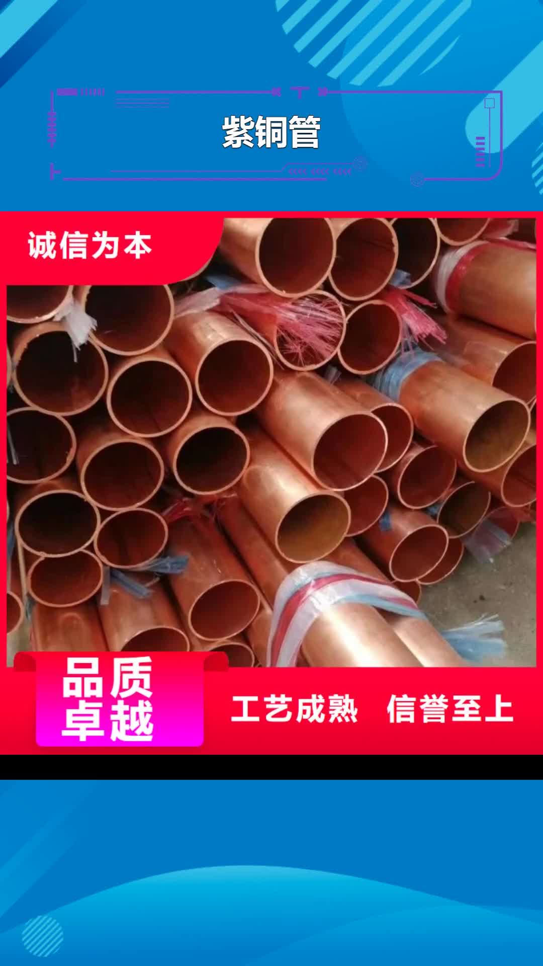 【淄博 紫铜管_紫铜排一站式供应厂家】