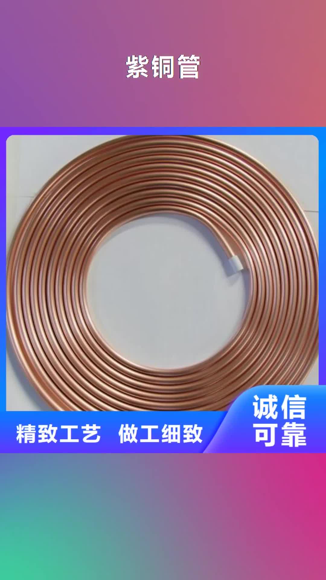 新疆 紫铜管【紫铜排】多年行业经验