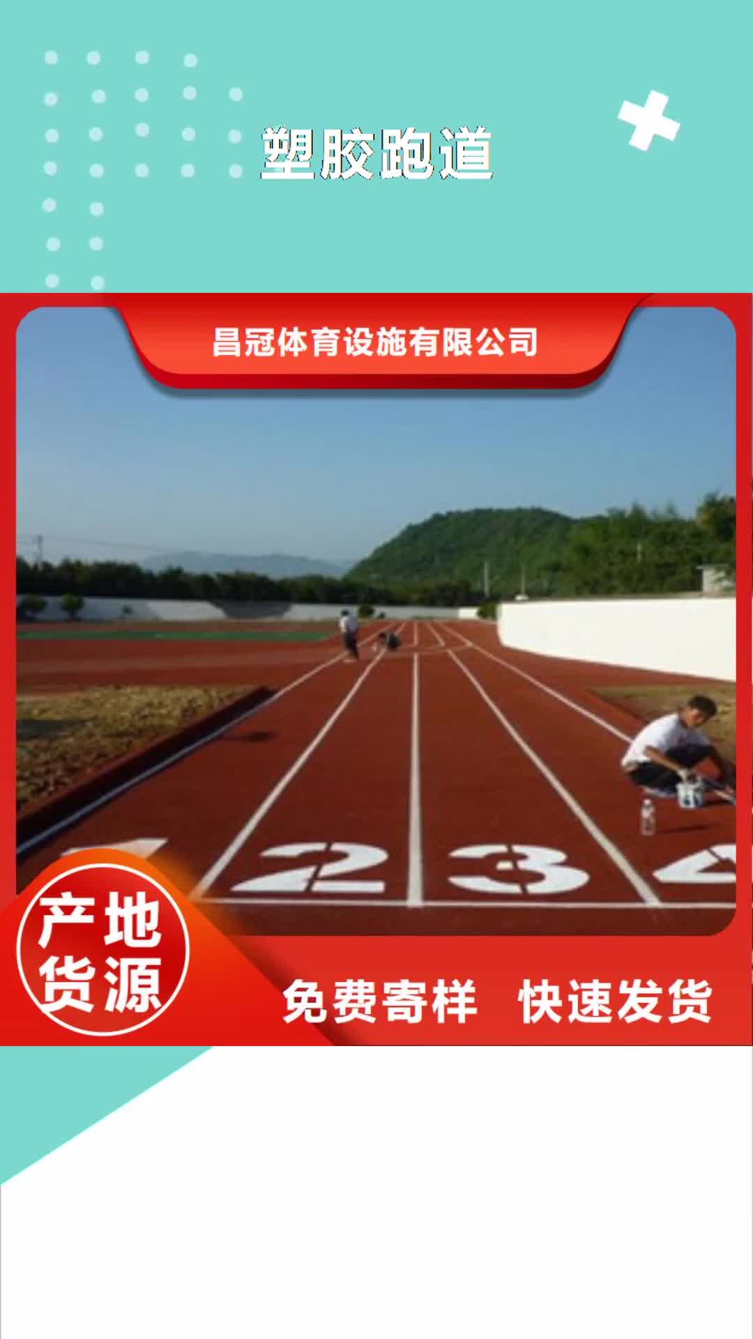 【桂林 塑胶跑道 人造草坪好品质选我们】