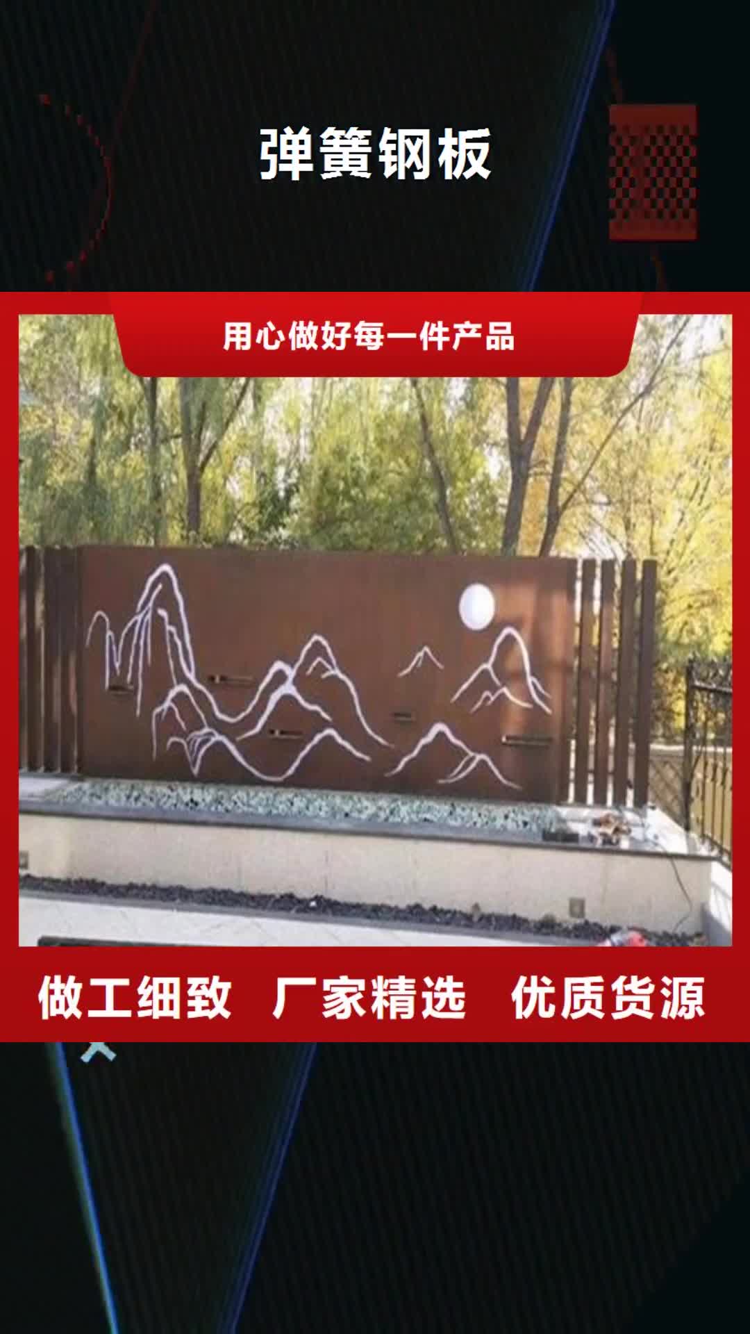 天水【弹簧钢板】,进口耐磨板货源直销