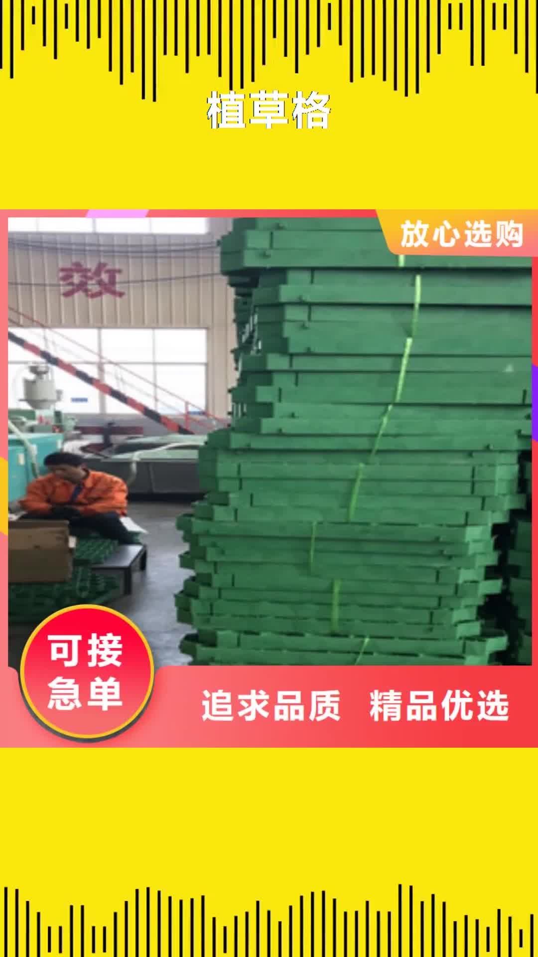 【南宁 植草格-膨润土防水毯厂家准时交付】