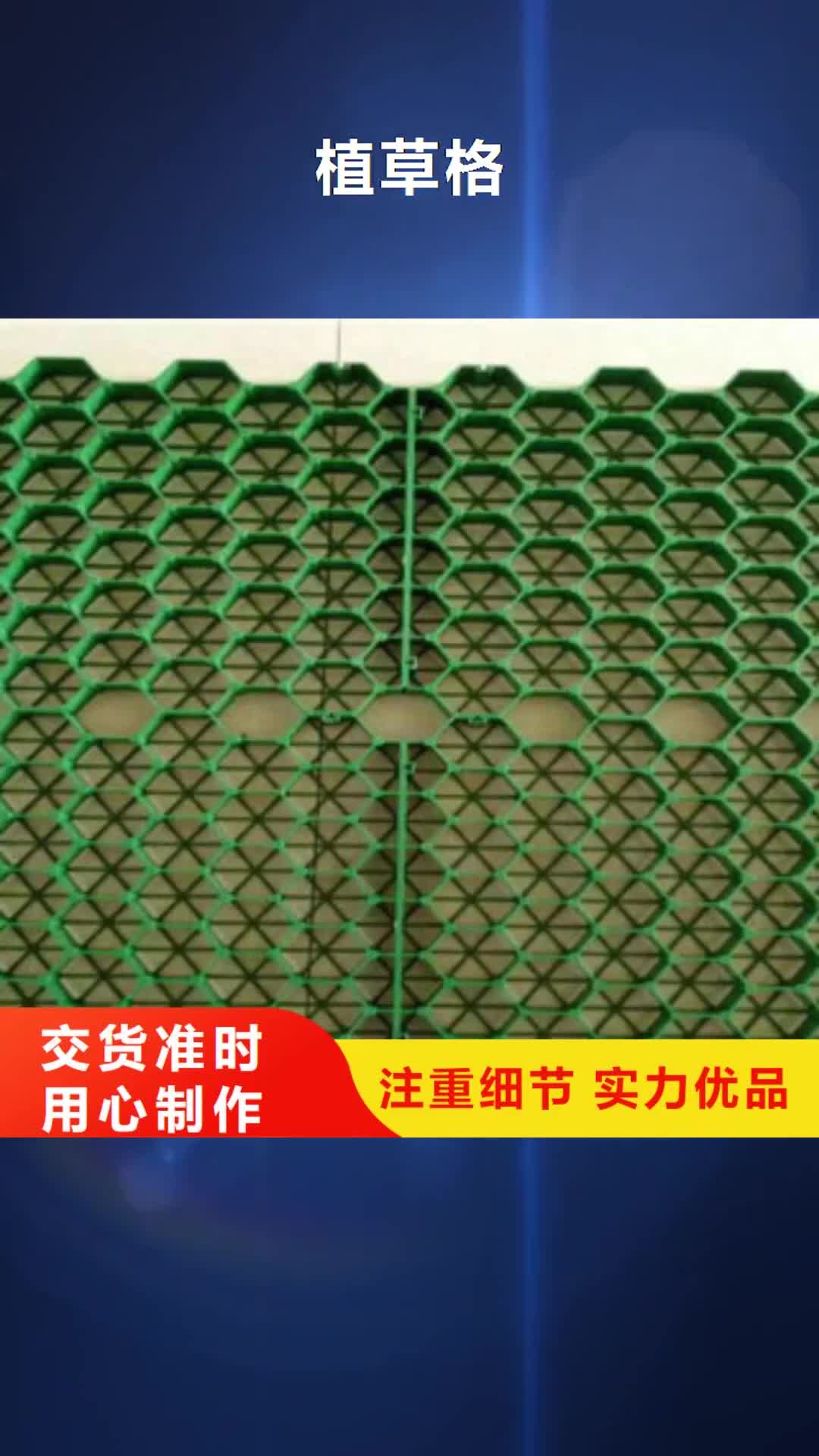 【恩施 植草格-土工膜厂家多年行业经验】