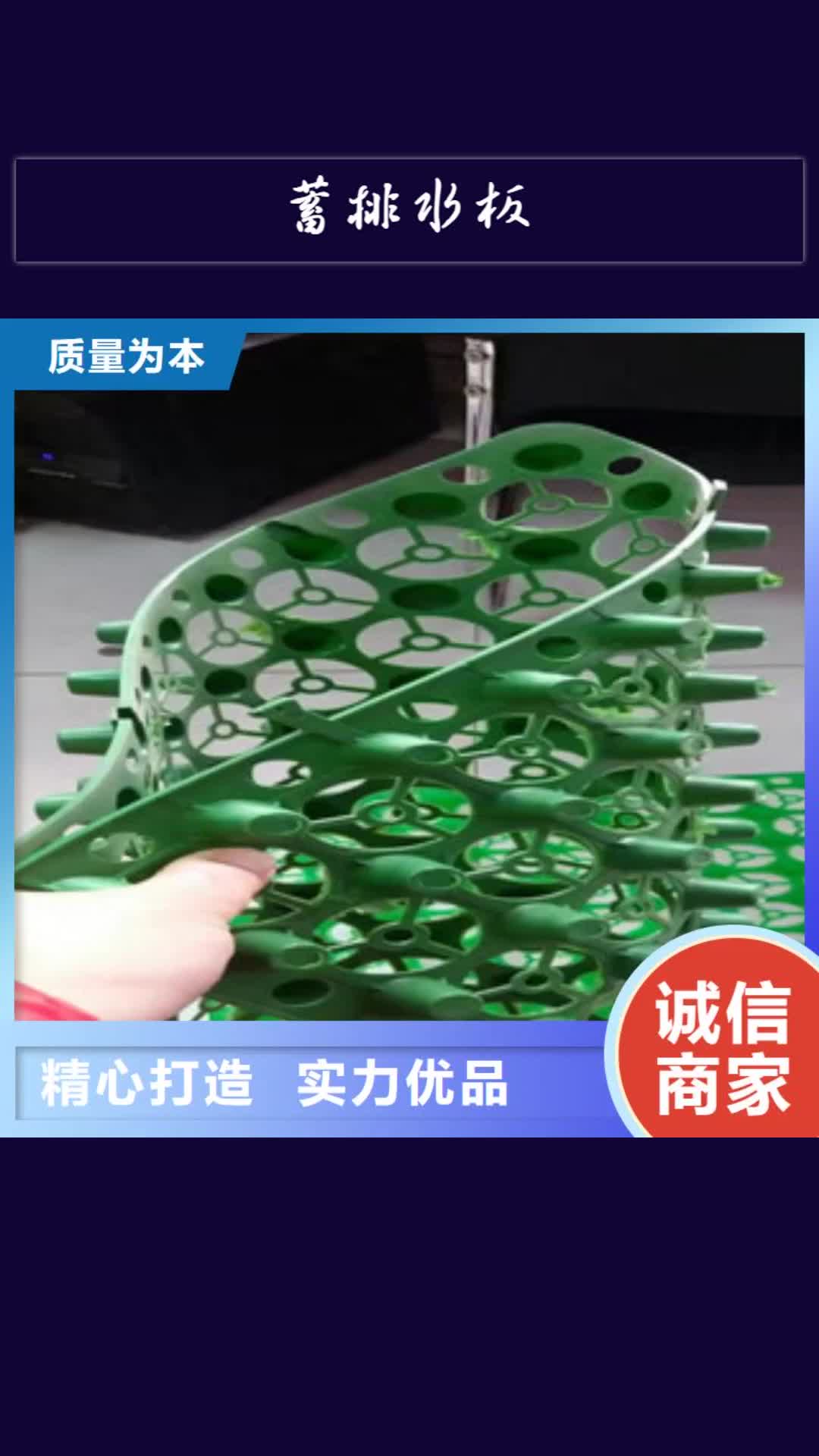 【巢湖 蓄排水板蓄排水板厂家当地厂家值得信赖】