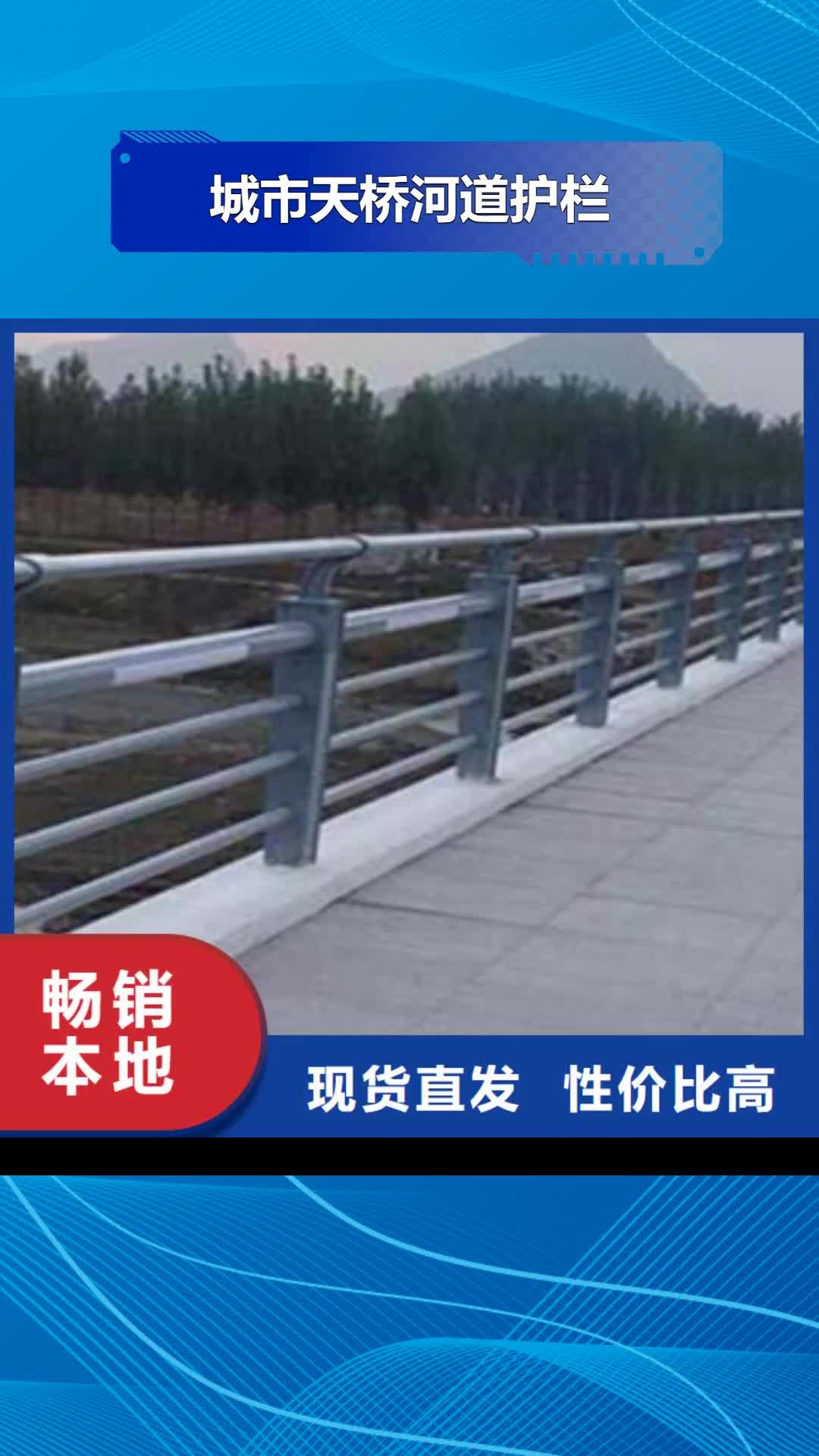 文山 城市天桥河道护栏【桥梁护栏】生产经验丰富