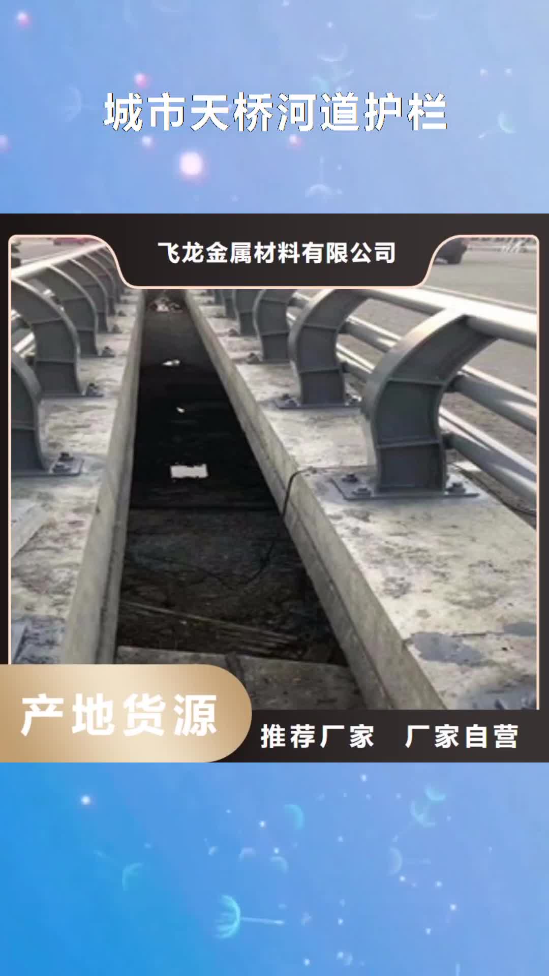 邯郸 城市天桥河道护栏 【桥梁景观护栏】匠心工艺